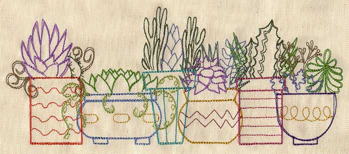 Succulents