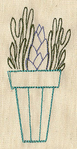 Succulent 1