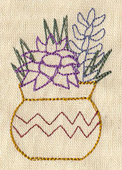 Succulent 4