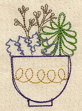 Succulent 6
