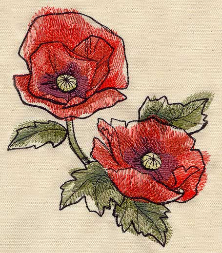 Painted Poppies
