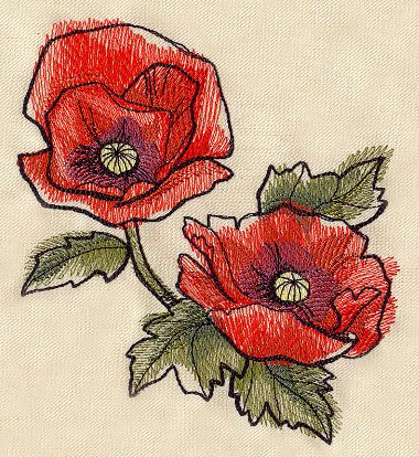 Painted Poppies