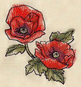 Painted Poppies