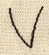 Handwriting Letter V - Uppercase