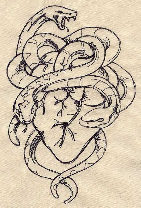 Snakes and Heart