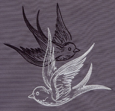 Light and Shadow Swallows