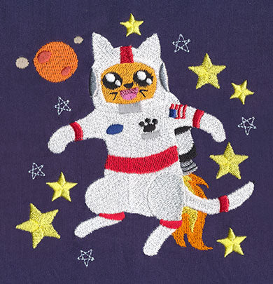 Cat in Space