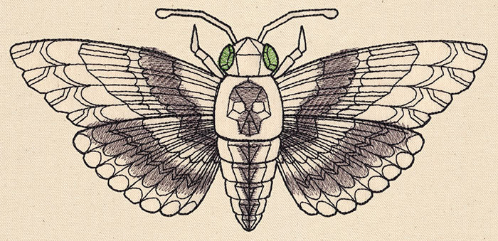 Death's-Head Hawkmoth