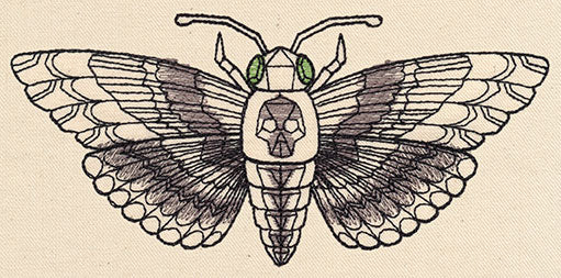 Death's-Head Hawkmoth