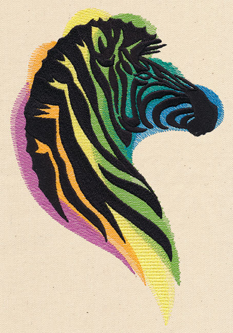 Rainbow Zebra