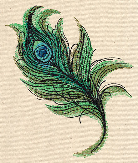 Painted Peacock Feather
