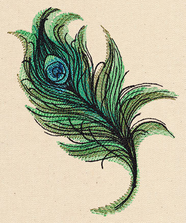 Painted Peacock Feather