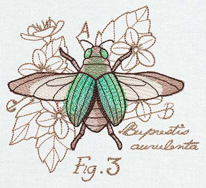 Miniature Menagerie Beetle Diagram