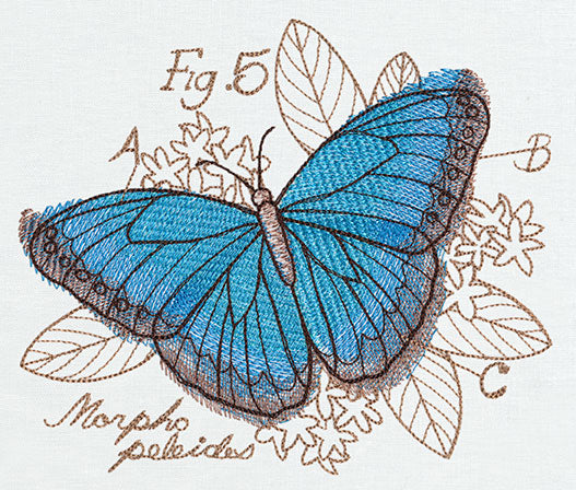 Miniature Menagerie Butterfly Diagram
