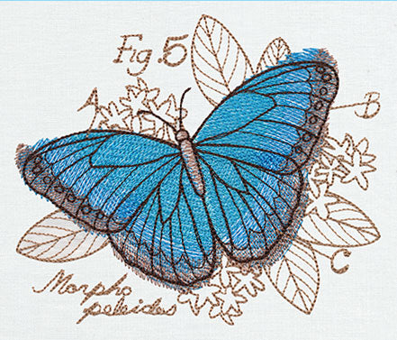 Miniature Menagerie Butterfly Diagram