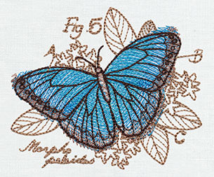 Miniature Menagerie Butterfly Diagram