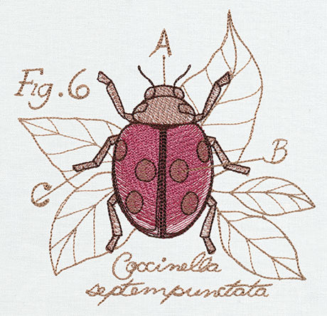 Miniature Menagerie Ladybug Diagram