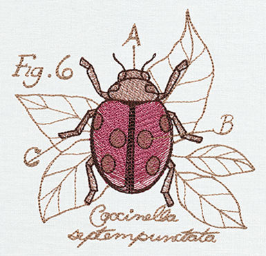 Miniature Menagerie Ladybug Diagram