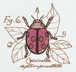 Miniature Menagerie Ladybug Diagram