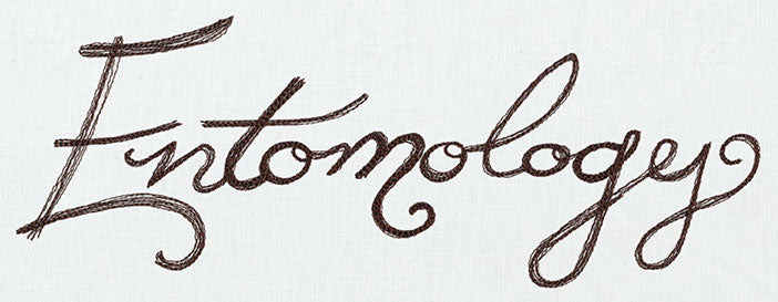 Miniature Menagerie Entomology Text