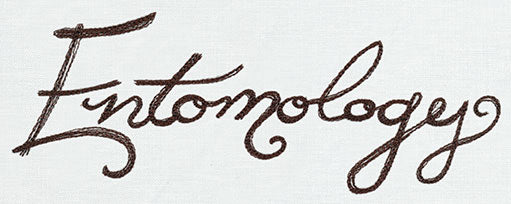 Miniature Menagerie Entomology Text