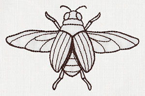 Miniature Menagerie Beetle