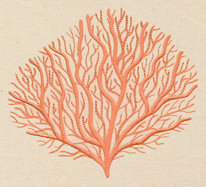 Branching Coral