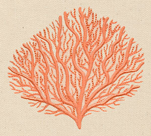 Branching Coral