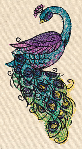 Painted Peacock