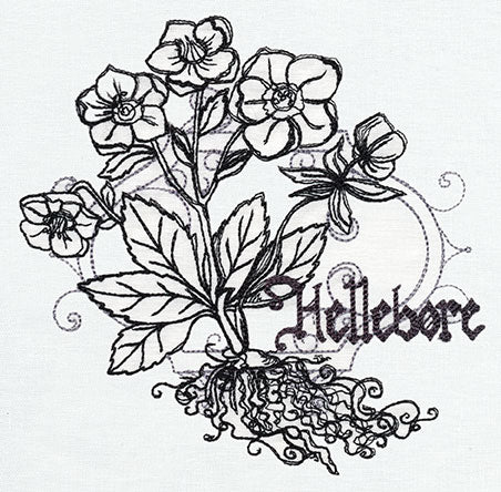 Pretty Poison - Hellebore