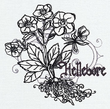 Pretty Poison - Hellebore