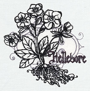 Pretty Poison - Hellebore