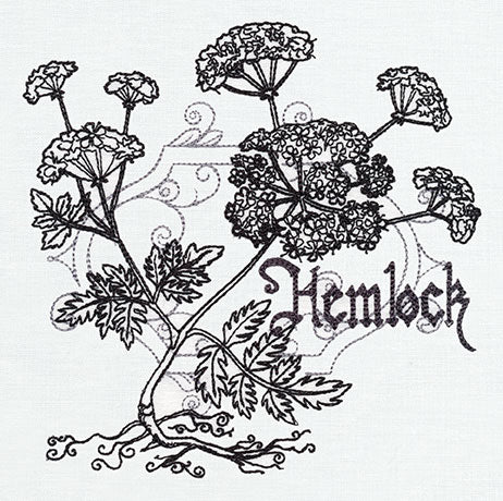 Pretty Poison - Hemlock