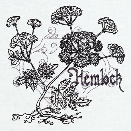 Pretty Poison - Hemlock