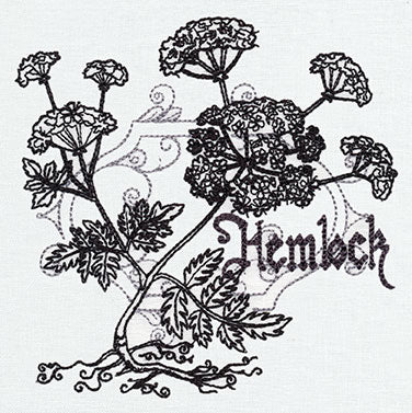 Pretty Poison - Hemlock