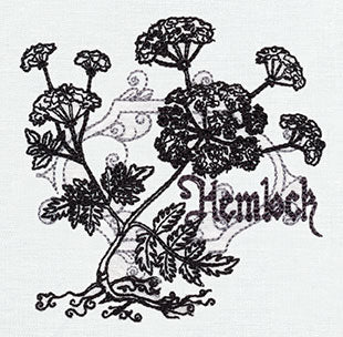 Pretty Poison - Hemlock