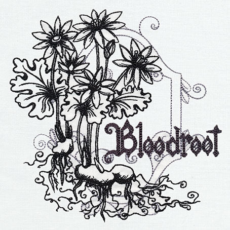 Pretty Poison - Bloodroot