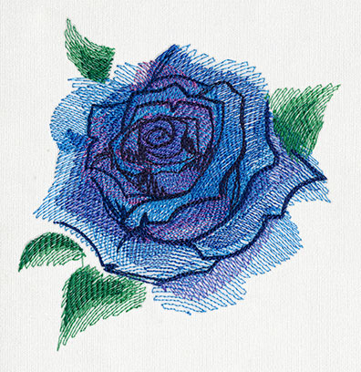 Painted Rose Bloom