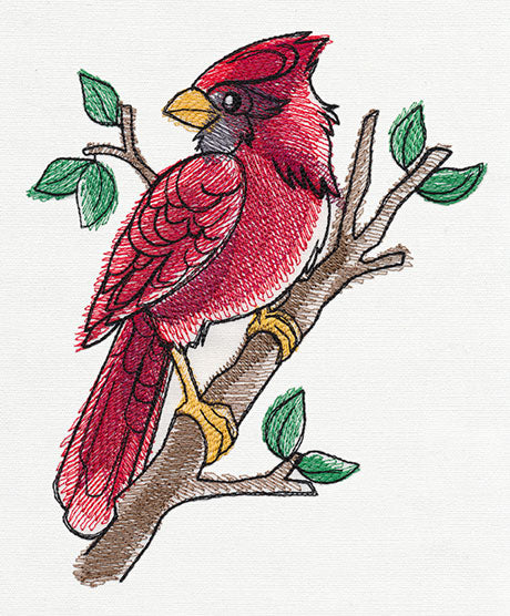 Painted Cardinal