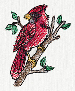 Painted Cardinal