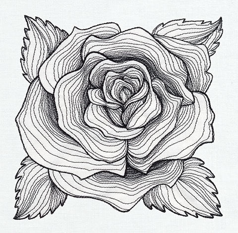 Engraved Rose