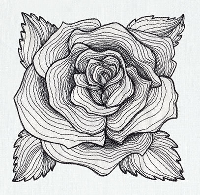 Engraved Rose