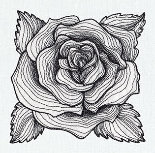 Engraved Rose