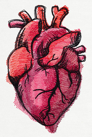Painted Anatomical Heart