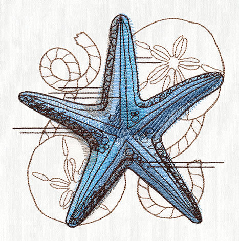 Nauticus - Starfish