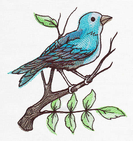 Nest - Perching Bird