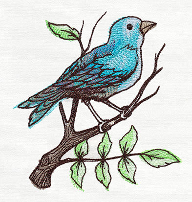 Nest - Perching Bird