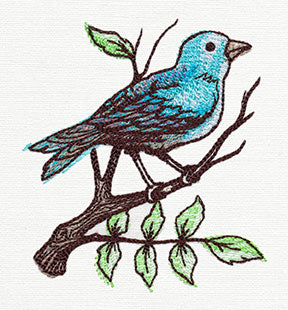 Nest - Perching Bird