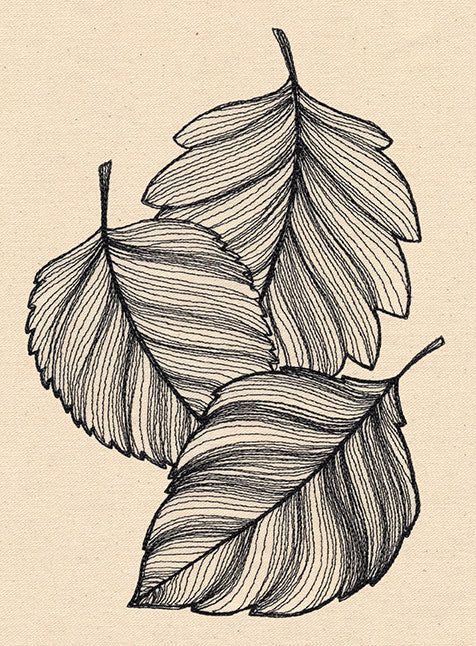 Engraved Leaves