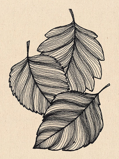 Engraved Leaves